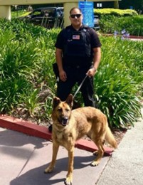 A person standing next to a dog